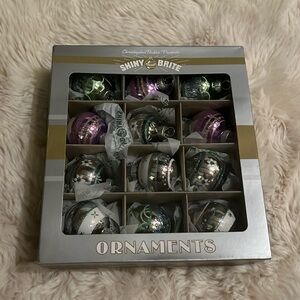 Christopher Radko Shiny Brite 2024 christmas glass ornament